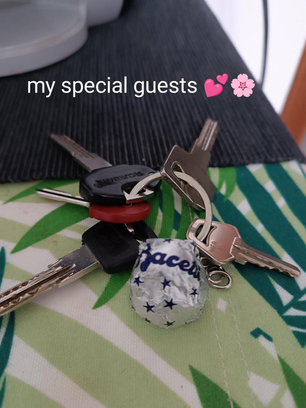 In Casa Zoe Apartman Venaria Reale Kültér fotó